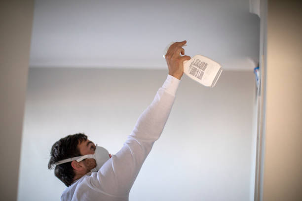 Water Damage Restoration in Las Quintas Fronterizas, TX