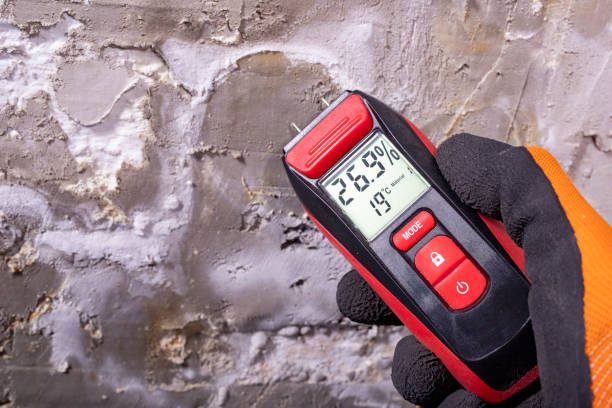Best Certified Mold Removal  in Las Quintas Fronterizas, TX